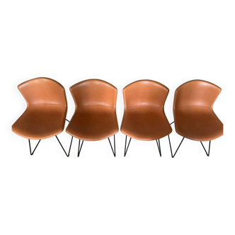 Lot de 4 chaises chaises Bertoia