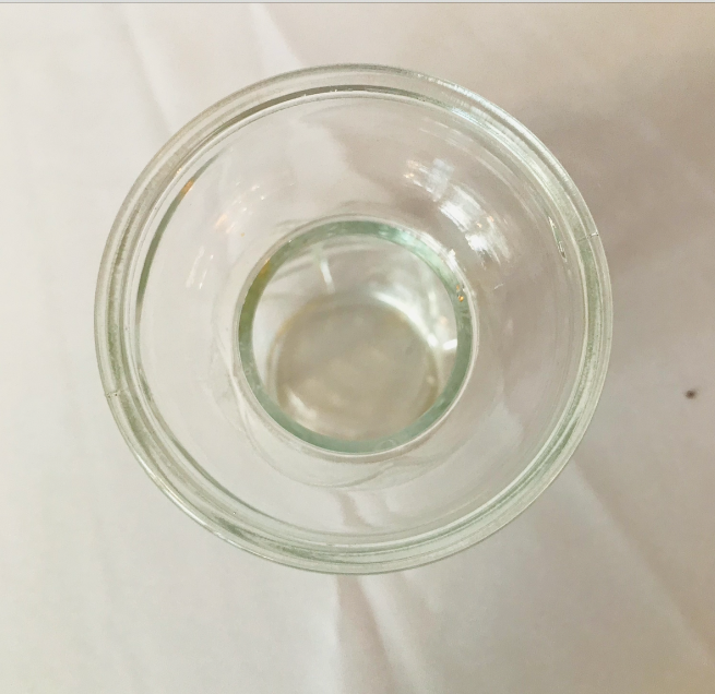 Molded glass vase with old hyacinth pattern leaves 2 of available