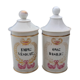 Pair of porcelain pharmacy pots