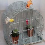 Former birdcage