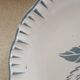 Set of 2 iron earth plates
