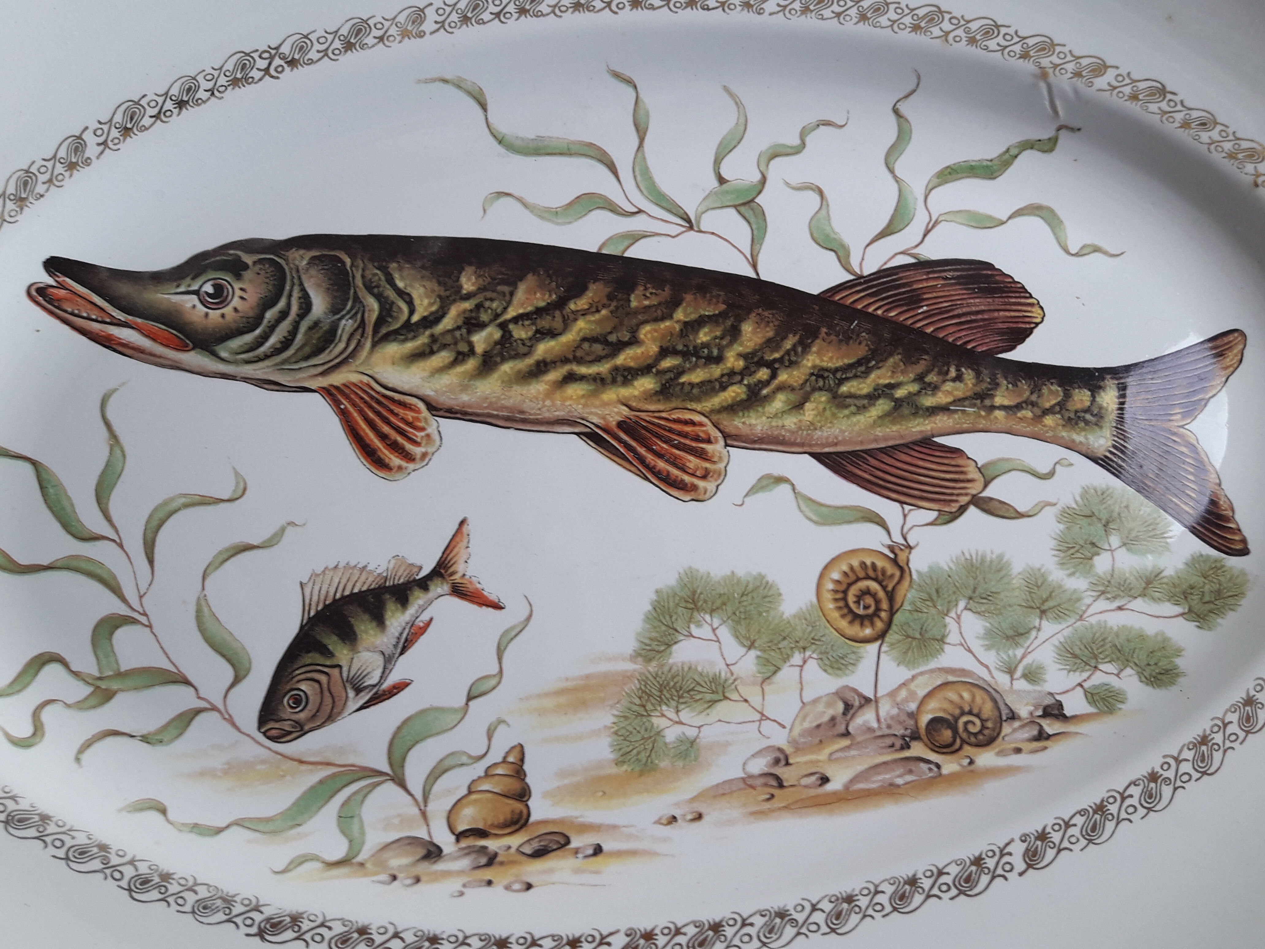 Orchies Earthenware Fish Dish Wolves Mill 36.5 x 24.5 cm