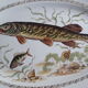 Plat à poisson en faïence d'Orchies Moulin des loups 36,5 X 24,5 cm