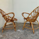 Paire de fauteuils coquille vintage 1950