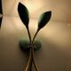 Double vintage Italian wall light 1950s