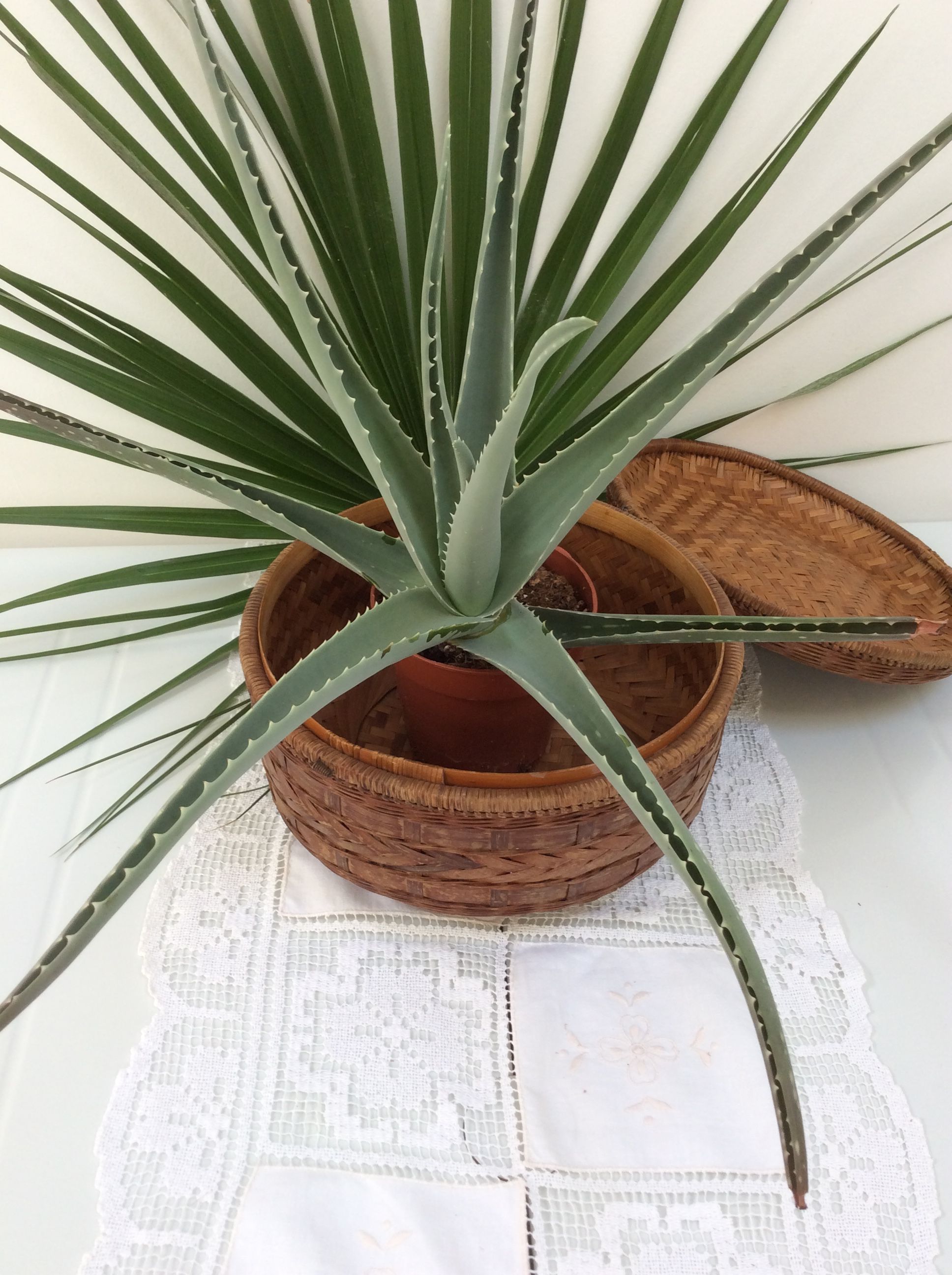 Basket with lid  vintage round