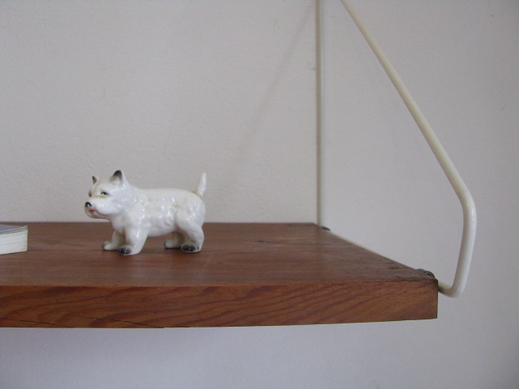 Vintage Wall Shelves 1960