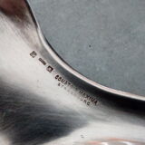 Pick-crumbs silver metal shovel