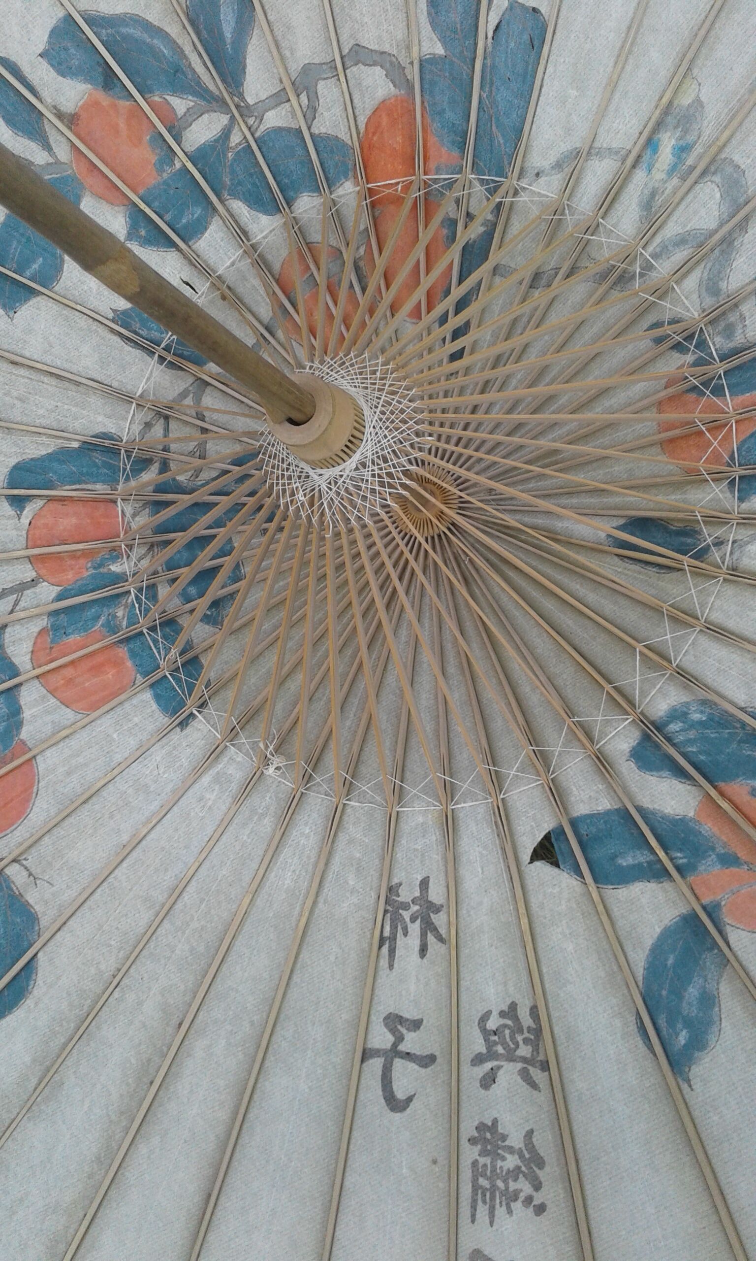 Asian umbrella