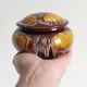 Mid-Century Vallauris Ceramic Box with Earthy Glaze, France, 1950s