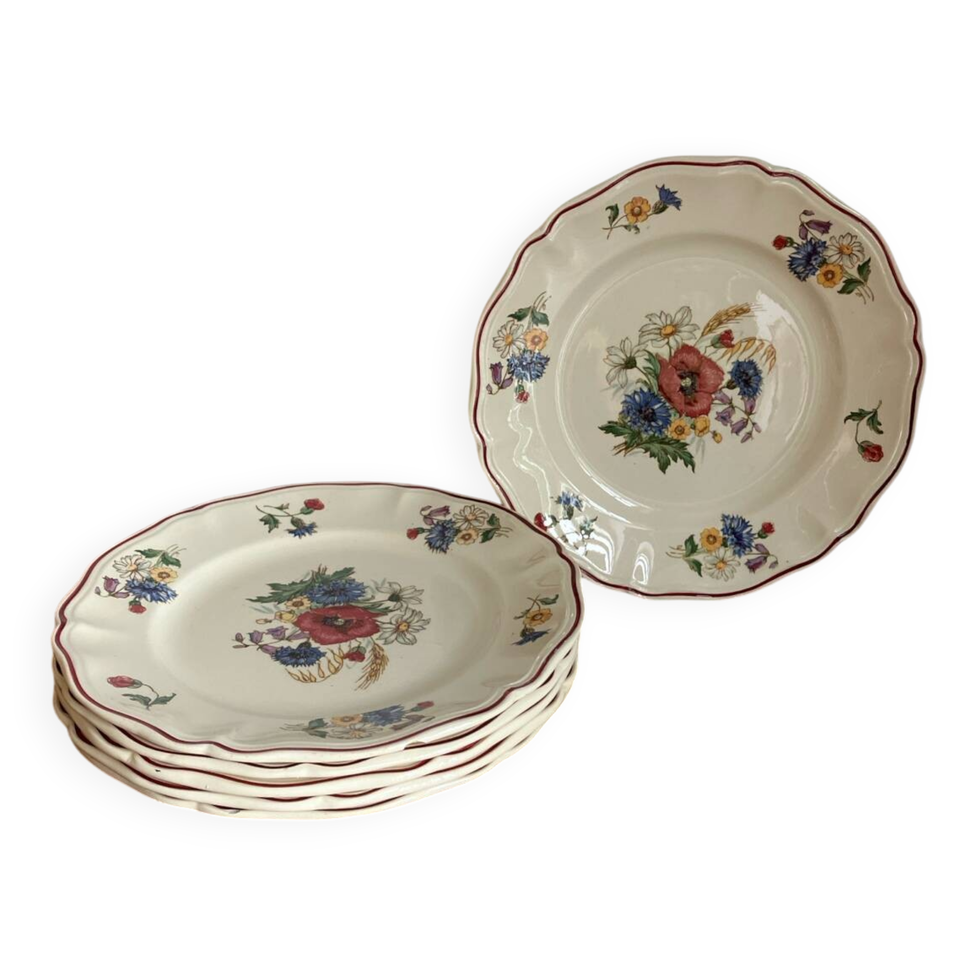 6 dinner plates