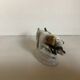 Chiens en porcelaine