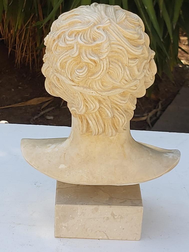 Plaster and marble bust