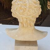 Plaster and marble bust