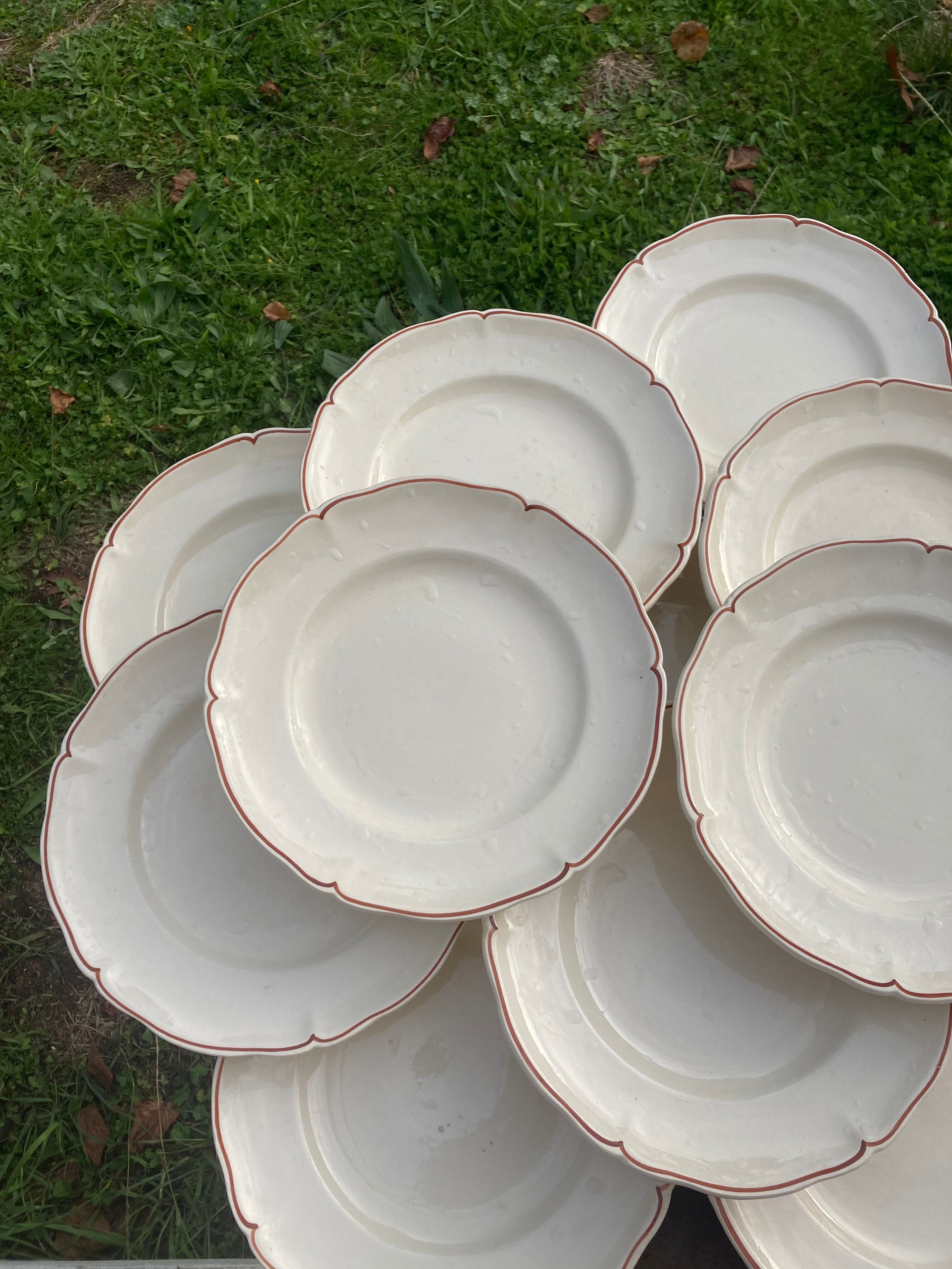 12 white old flat plates with brown fillet