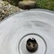3 enamelled sheet metal suspensions