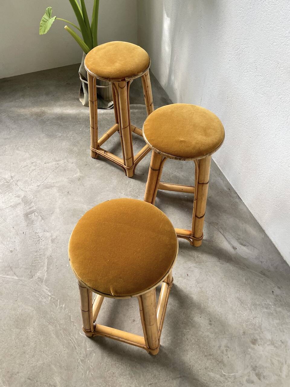 Set of three rattan high stools