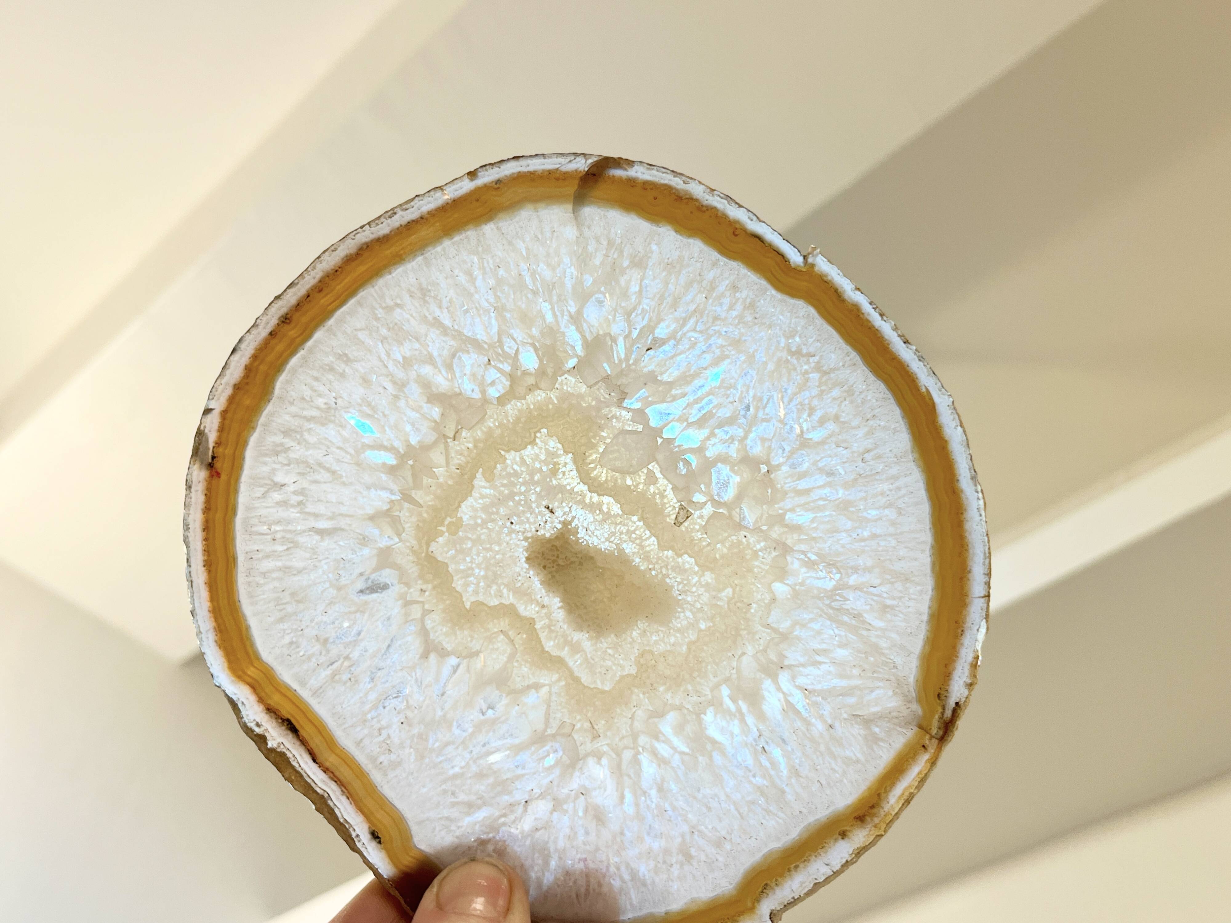 Agate slice on wooden base, 1970s, cabinet of curiosities
