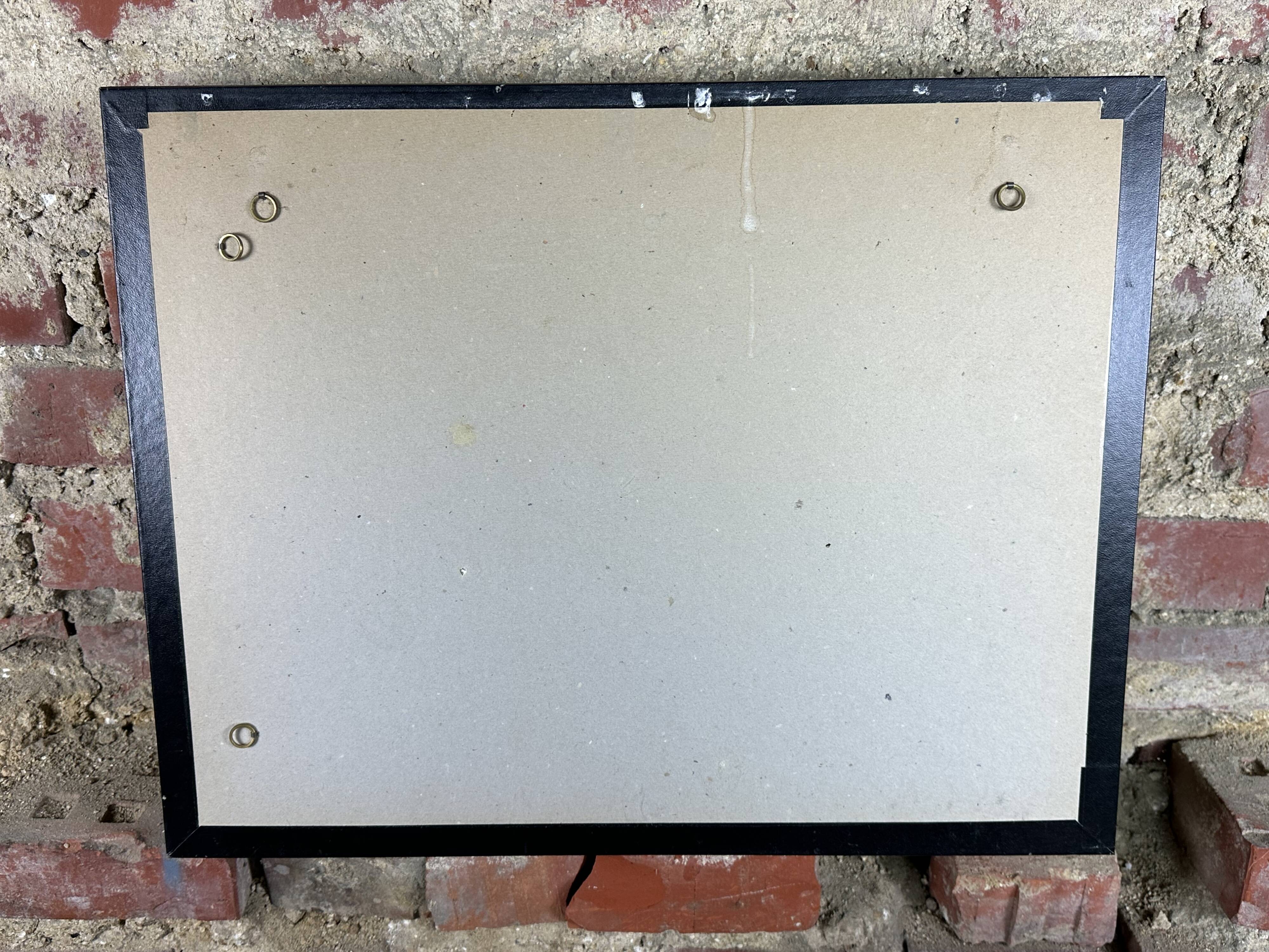 Old entomological insect frame 21 species