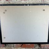 Old entomological insect frame 21 species