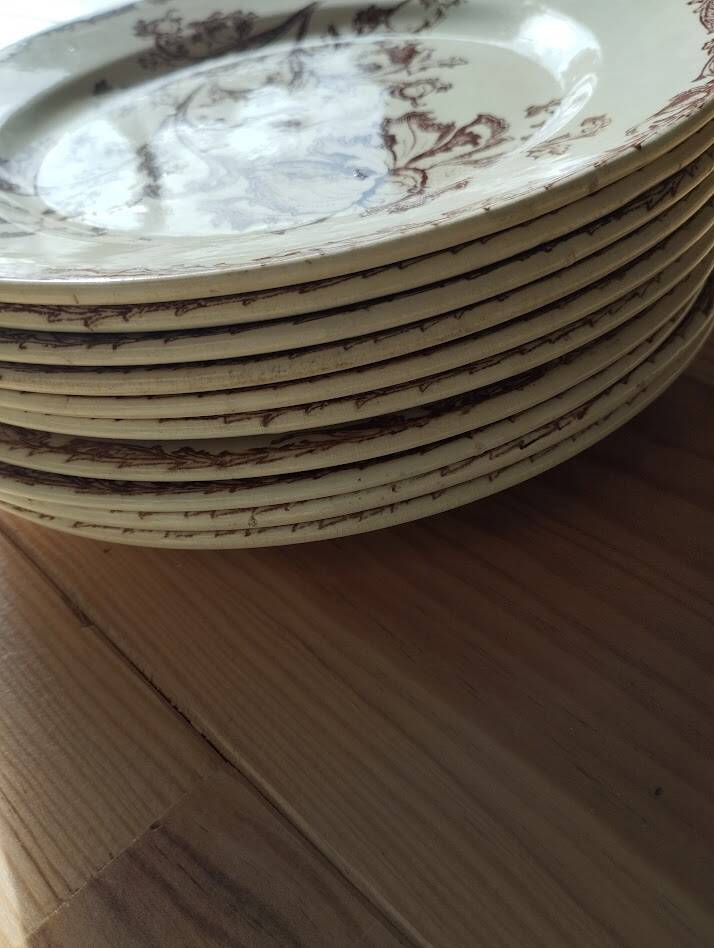 Datura plates iron earth