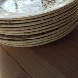 Datura plates iron earth