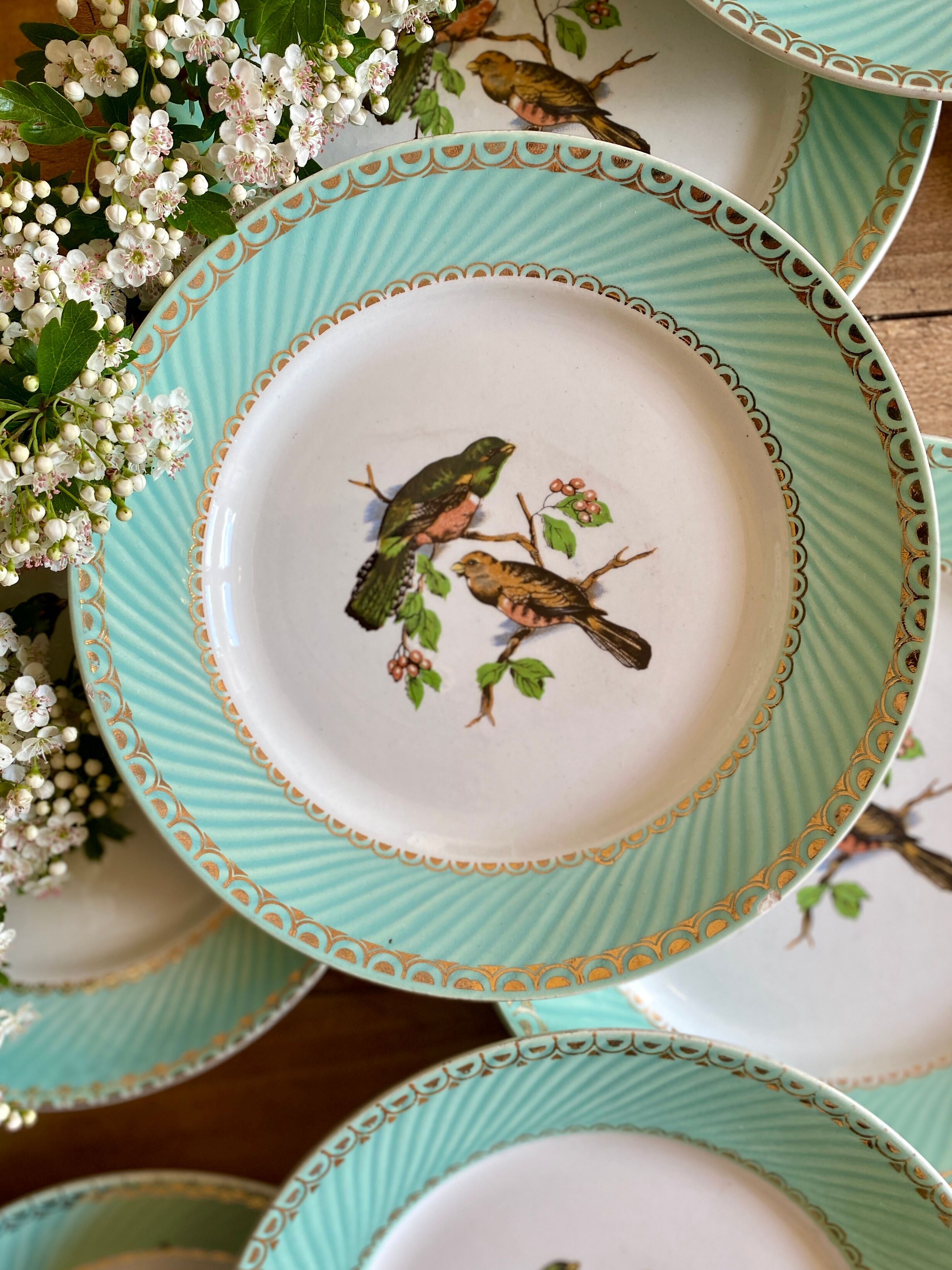 Set of 10 vintage flat plates with bird drawings