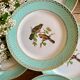 Set of 10 vintage flat plates with bird drawings