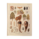 Lithographie sur les maladies et ennemis de la betterave de 1921