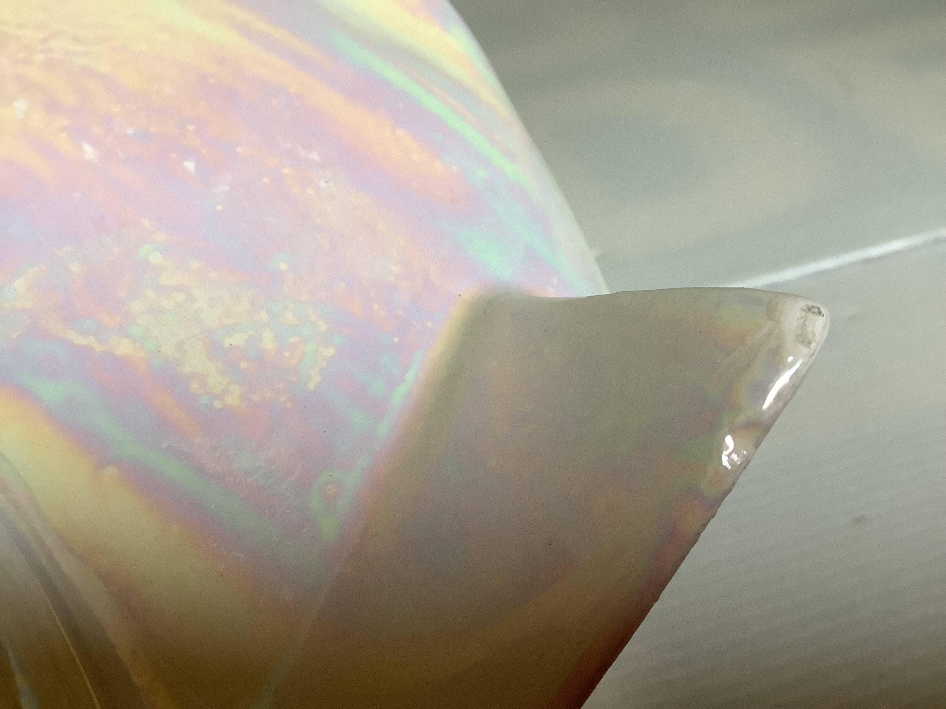 Iridescent white fish