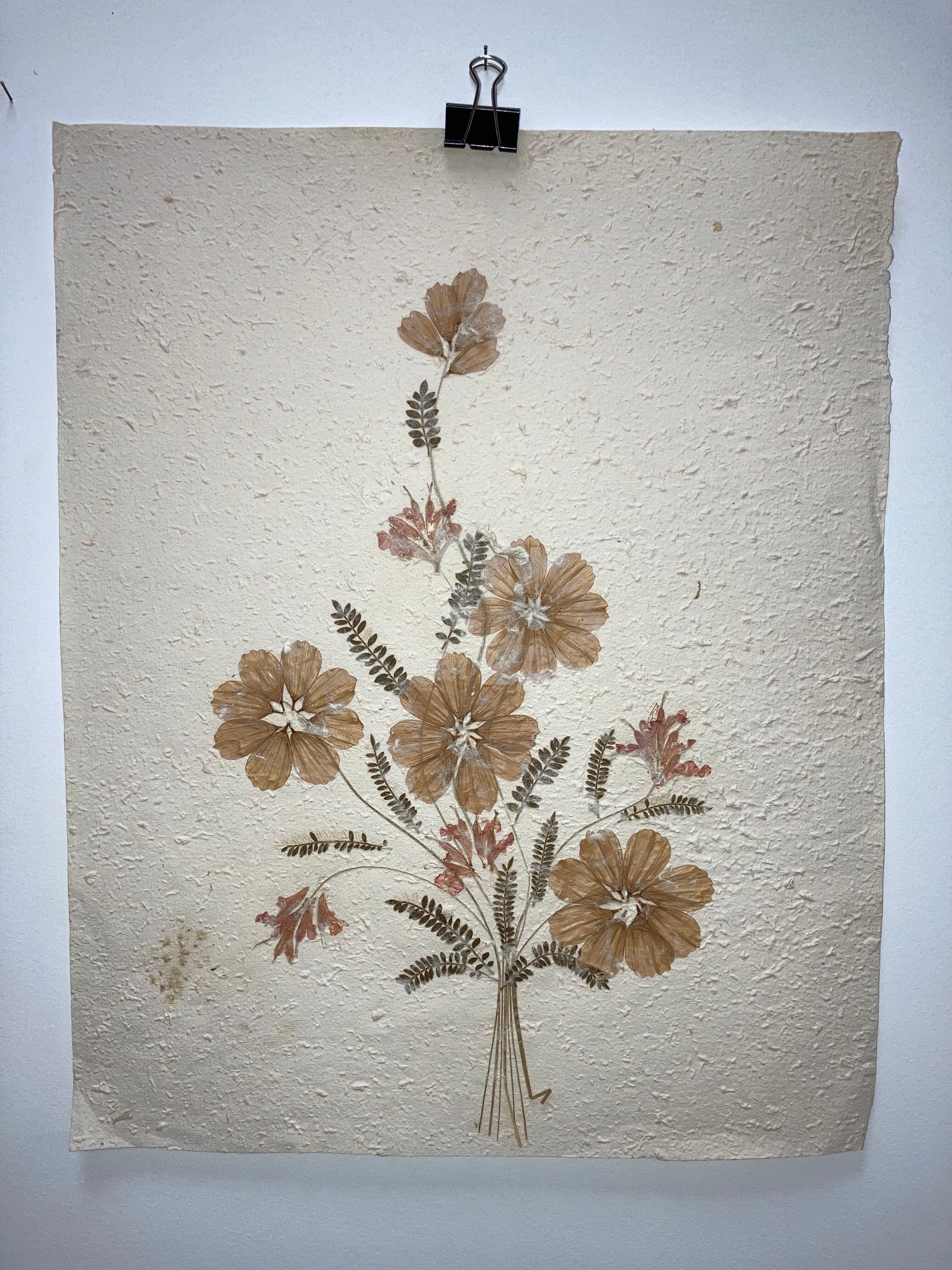 Planche fleurs séchées