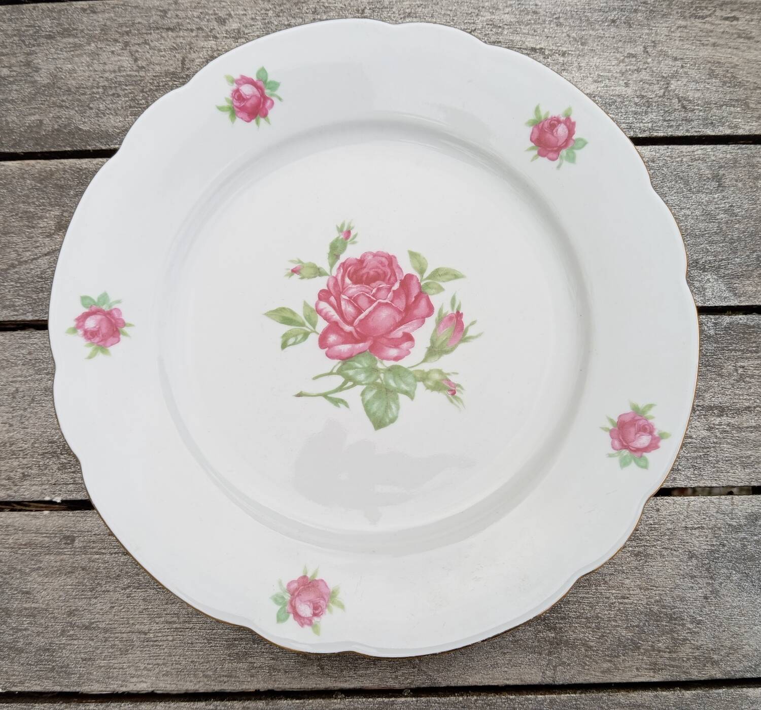 Seltmann Weiden Roses Decorated Retro Porcelain Dessert Plate