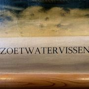 Affiche scolaire en lin vintage – Poissons d'eau douce