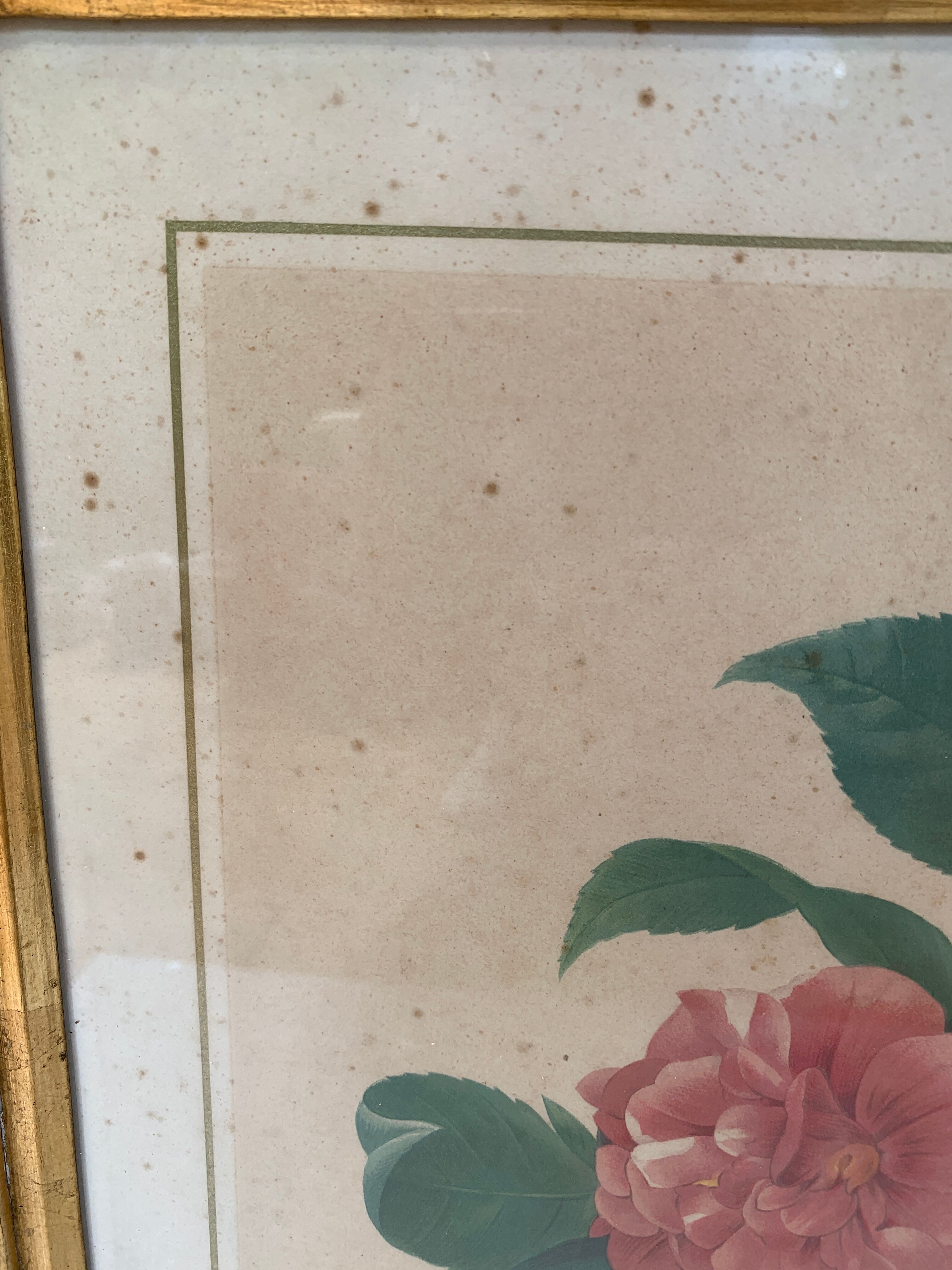 Table camellia mirror frame