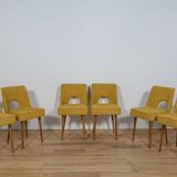 Polish Shell Chairs from Bydgoszcz Furniture Factory, 1960s, Set of 6