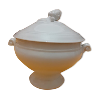 White old soup