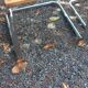 Set of 3 Cesca B32 chairs by Marcel Breuer