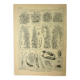 Antique engraving, 1921 - Beans by M. Dessertenne - vegetable garden plate