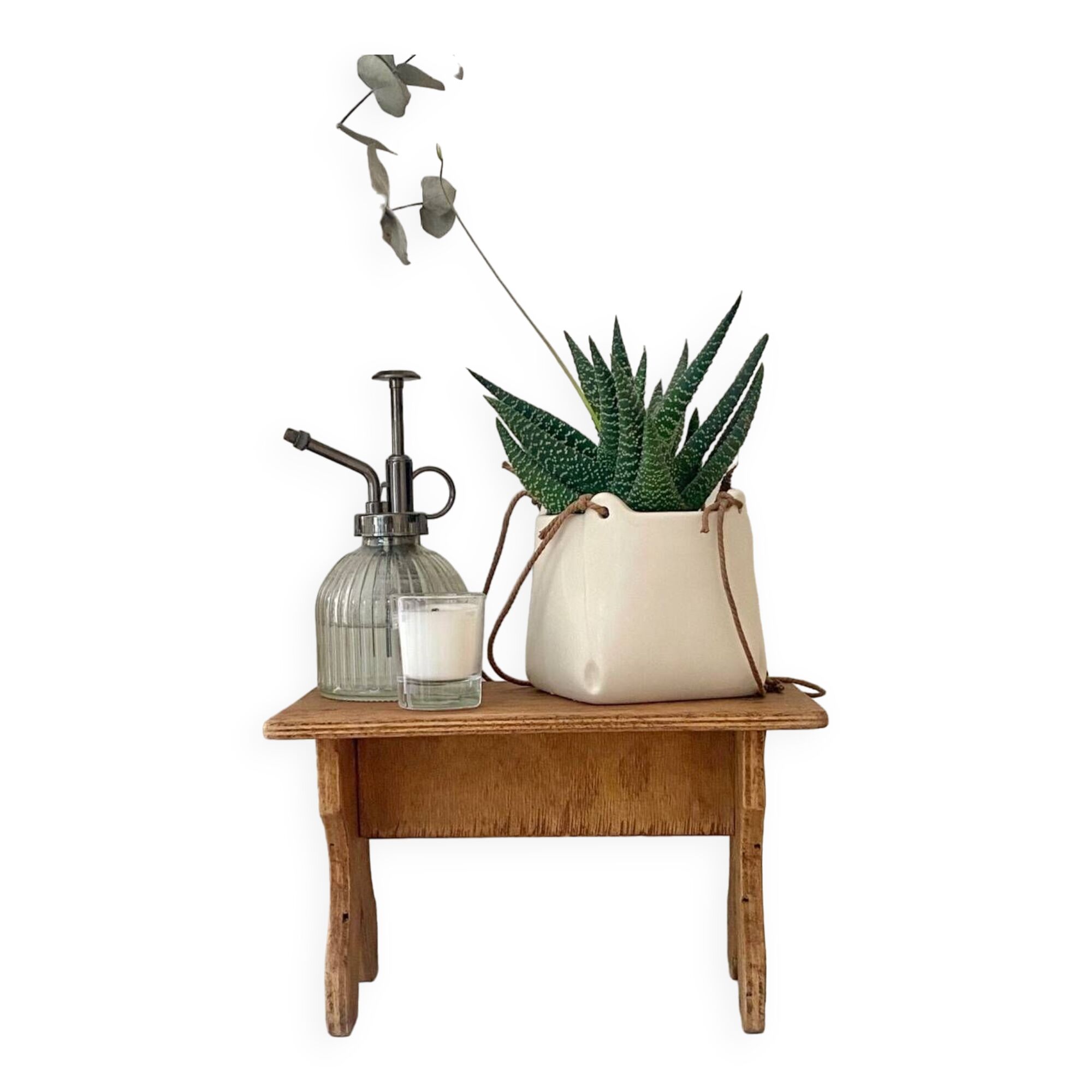 Plant holder