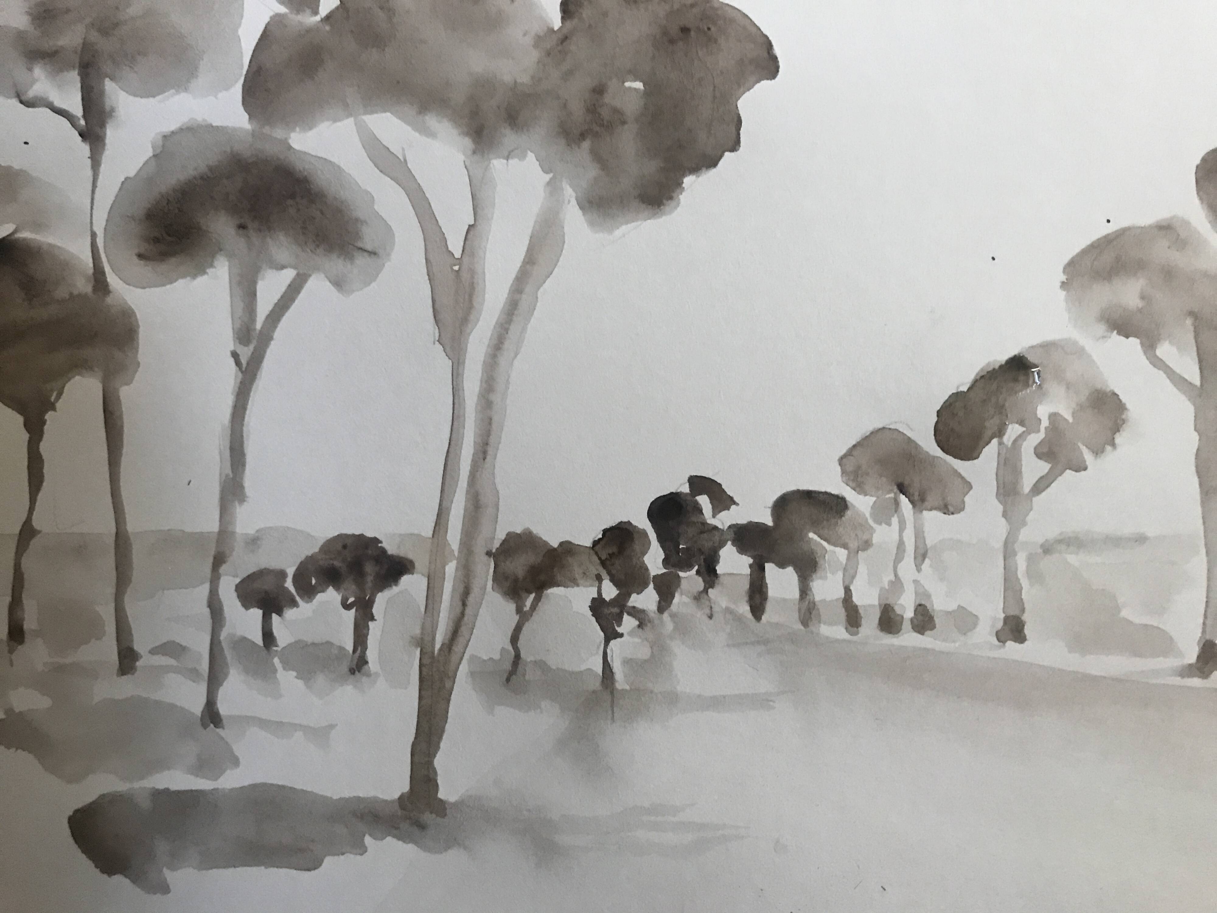 Painting signed monochrome watercolor “pine forest in Provence”