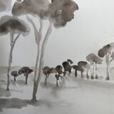 Painting signed monochrome watercolor “pine forest in Provence”