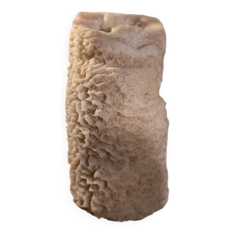 Coral block