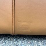 Sofa Petronio 603 de Tito Agnoli pour Poltrona Frau