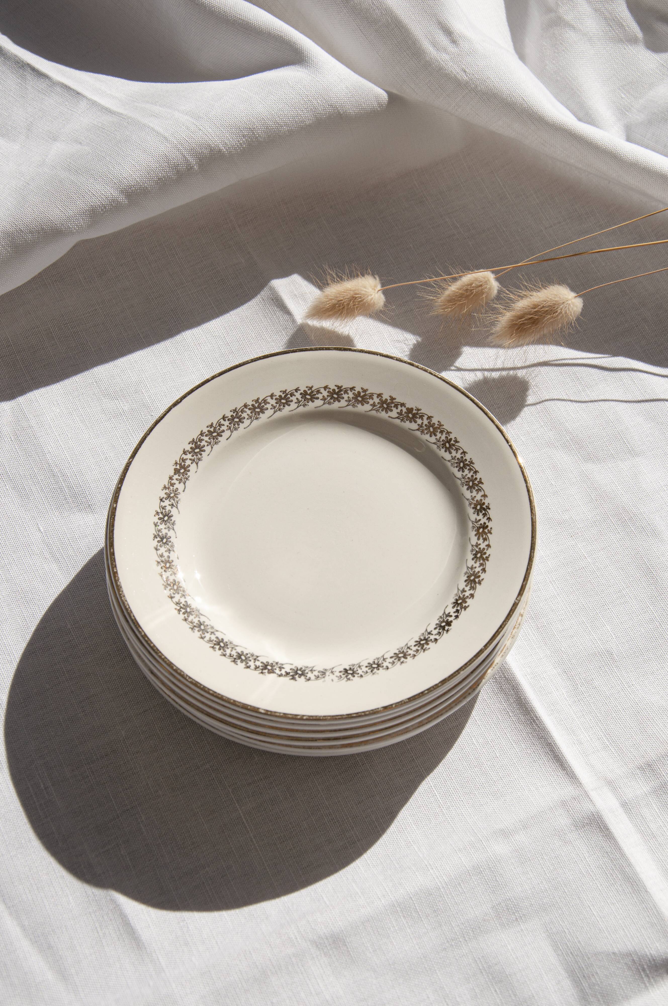 Digoin & Sarreguemines dessert plates