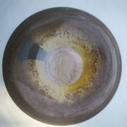 Vase with lake decoration signed Michel