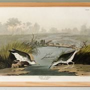 Poster about the Wood Knight, based on an old engraving from 1827.