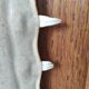 Sawfish rostrum