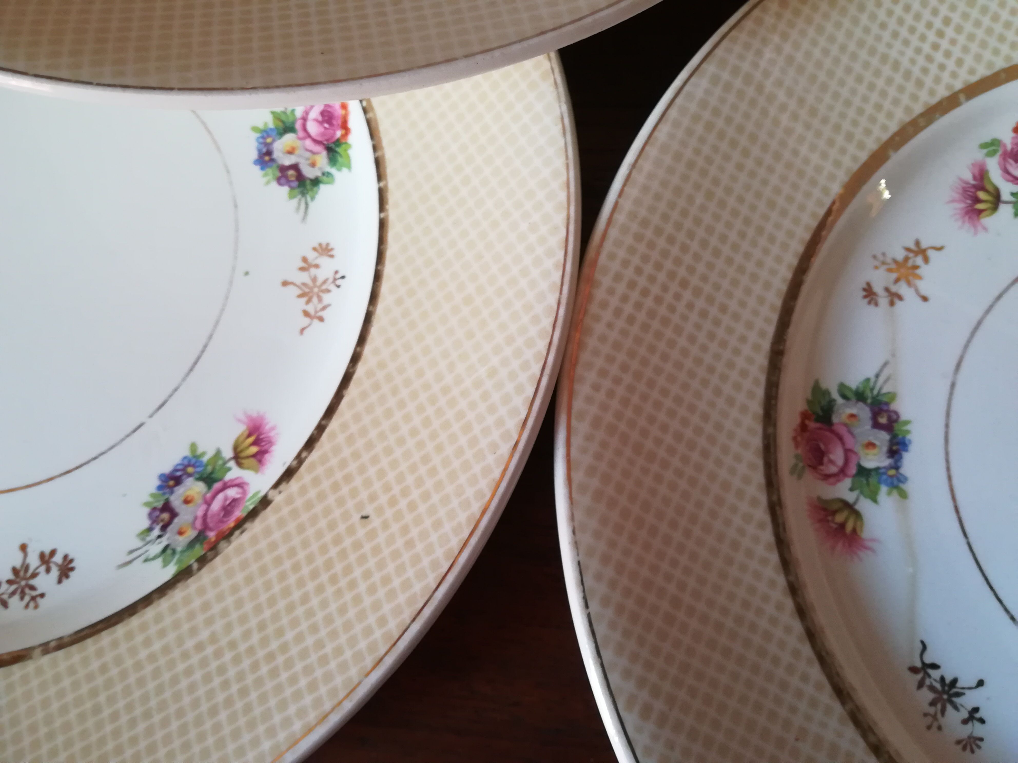 6 earthenware plates by Salins