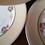 6 earthenware plates by Salins