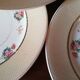 6 earthenware plates by Salins